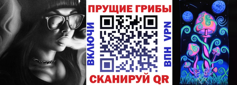 KRAKEN рабочий сайт  Слободской  Псилоцибиновые грибы GOLDEN TEACHER 